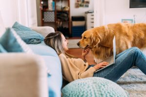 animal care